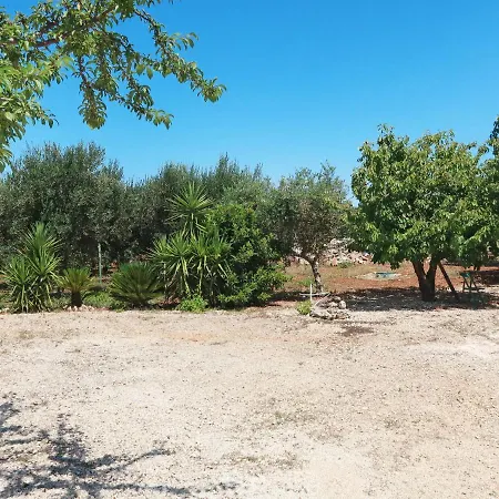 Locazione Turistica Trullo Alloro - Mfr100